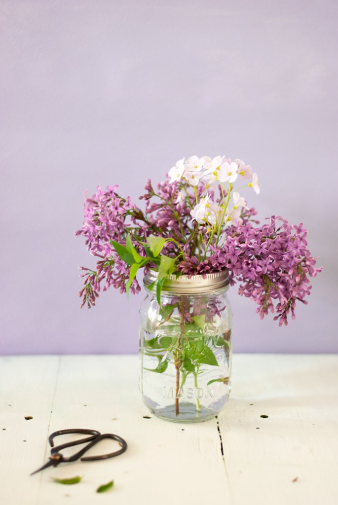 Edible flowers : Lilac