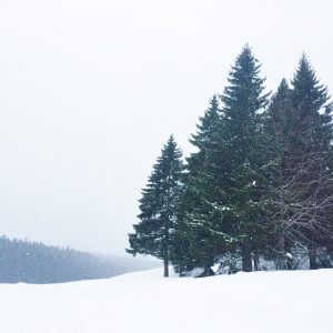 Le Jura sous la neige
