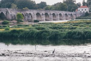 Leaf • La Loire à vélo, de Blois à Orléans en passant par Meung-sur-Loire