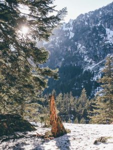 Leaf • Belle échappée à Cauterets, ski et randonnée au cœur des Hautes Pyrénées
