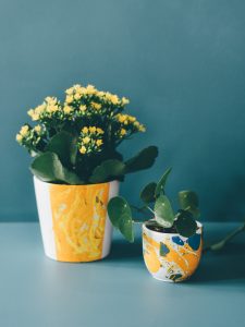 Leaf • 4 créations pour mettre en valeurs vos plantes & fleurs. Hortensia, Pilea, fougère Nephrolepis, Kalanchoe... #DIY