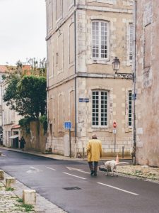 Leaf • Sur les chemins de la Vélo Francette, de La Rochelle à Niort