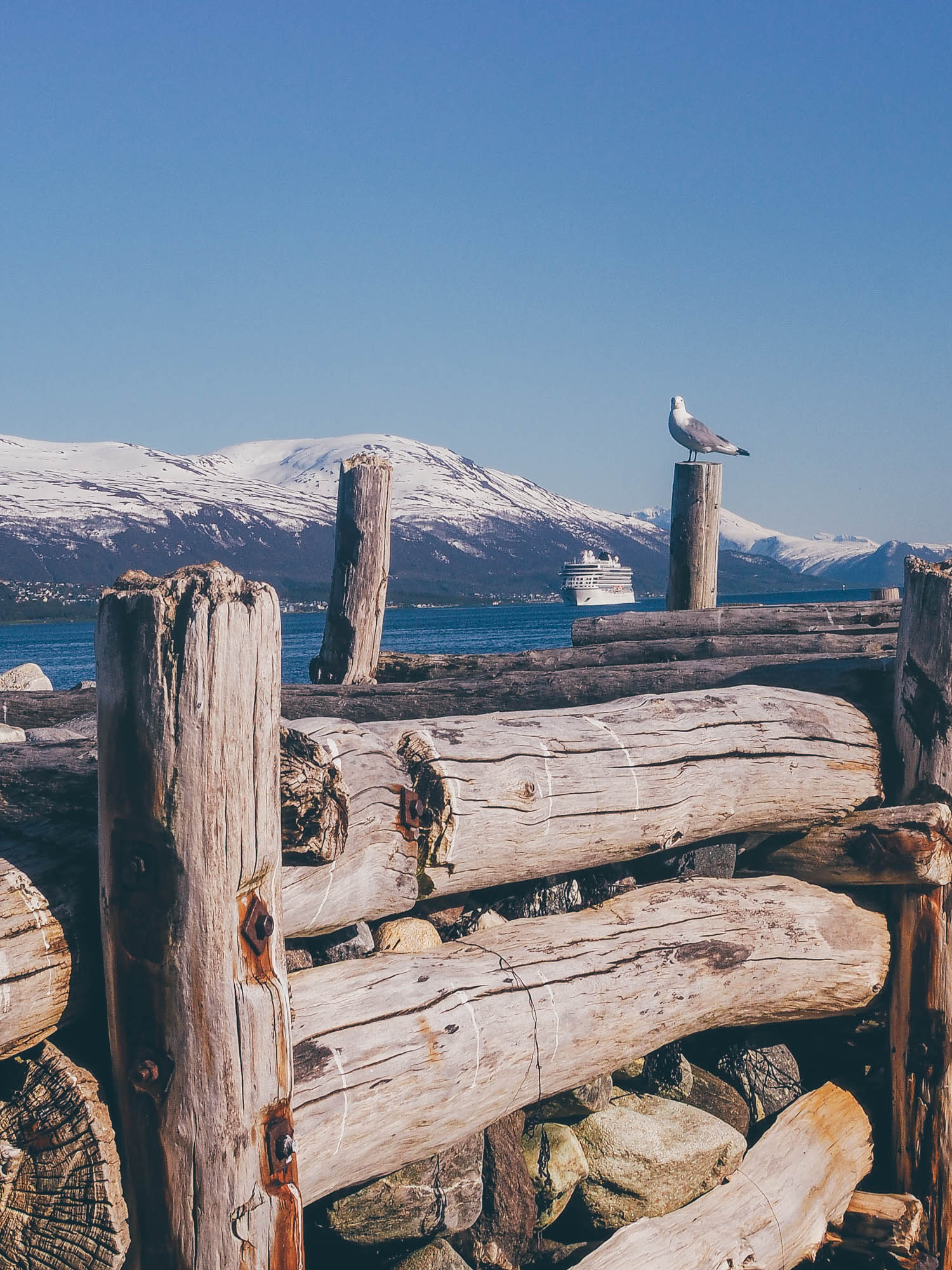 Leaf • Randonner dans les fjords de Norvège du nord, rencontrer les Sami et observer les oiseaux de mer.